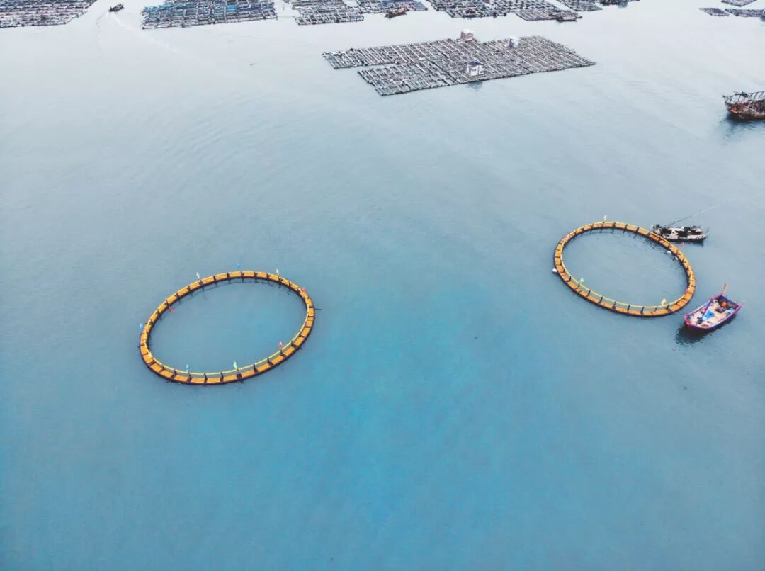亞通資訊 | 莆田市首批深海抗風浪網箱下海完成錨固
