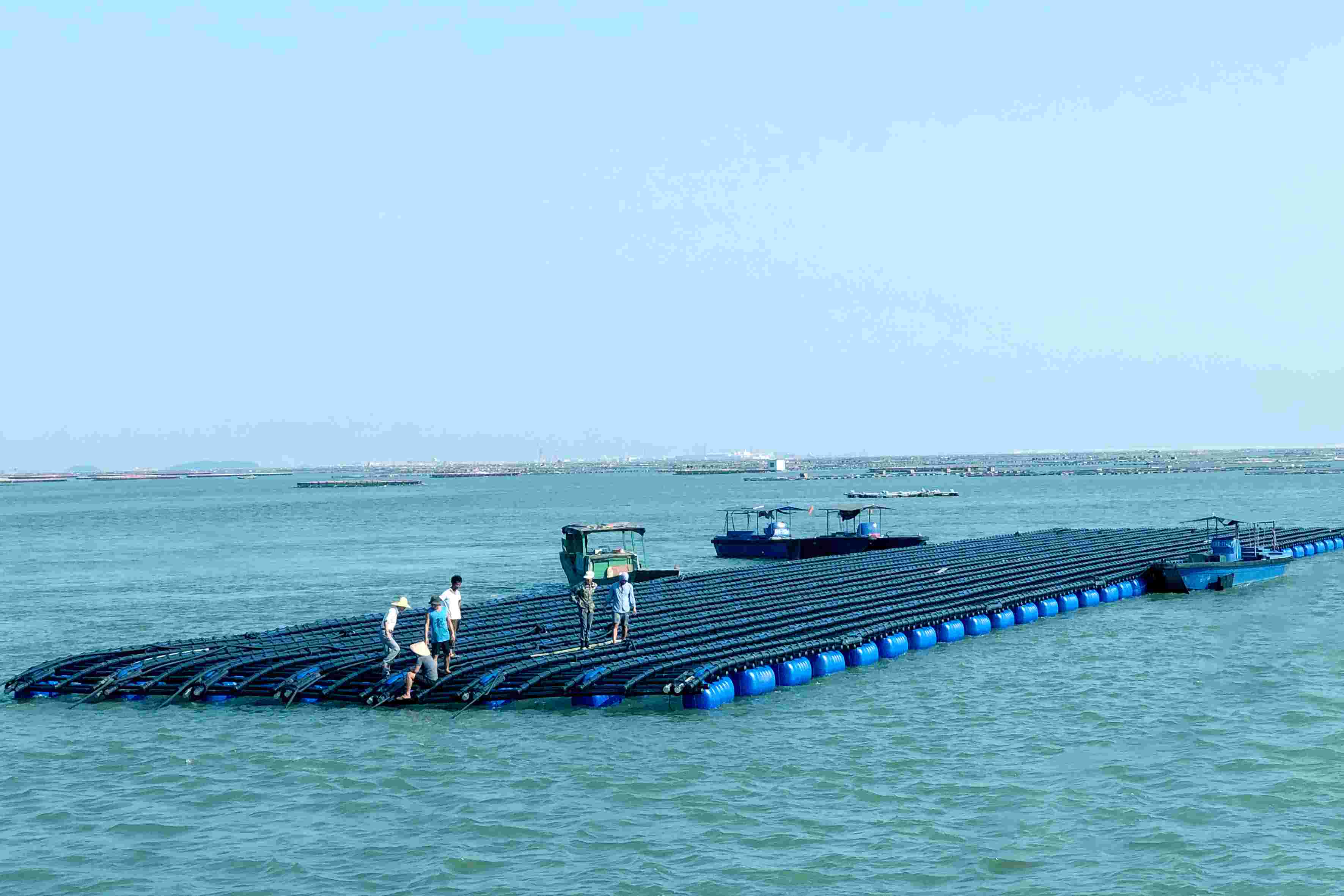 亞通海洋養殖裝備設施系統-深?？癸L浪蠔排(第一代)